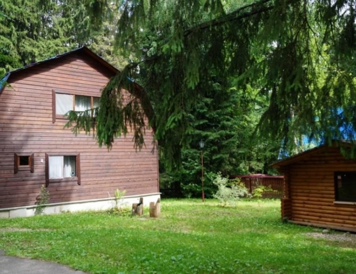 Коттедж - DeLuxe 8 мест - Парк-отель «Покровское»