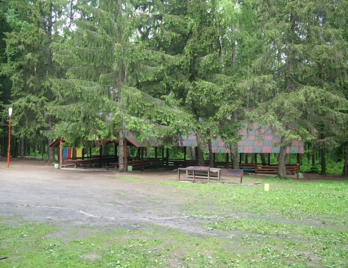 Поляна «Фестивальная» - Парк-отель «Покровское»